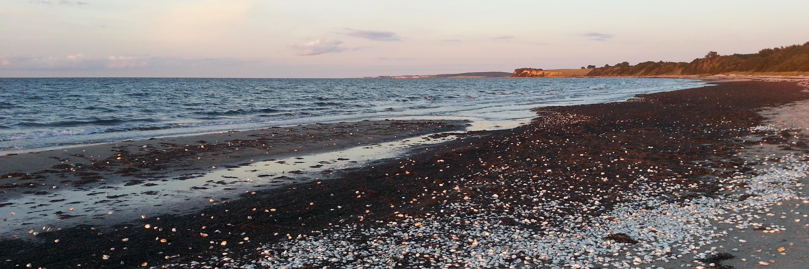timkleingarn's profile banner image