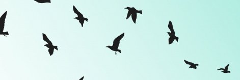 Sabina_FWebb's profile banner image