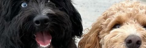 MichaelTheMoody's profile banner image