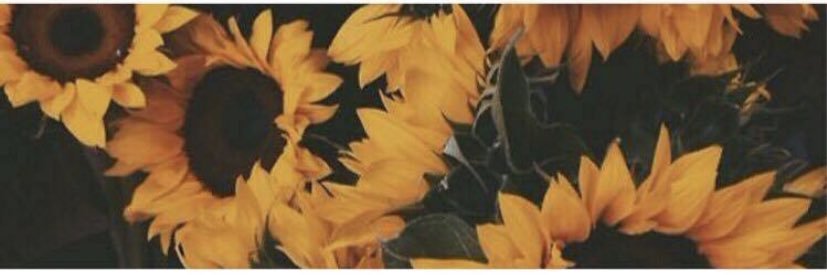 MaddyAppleby1's profile banner image