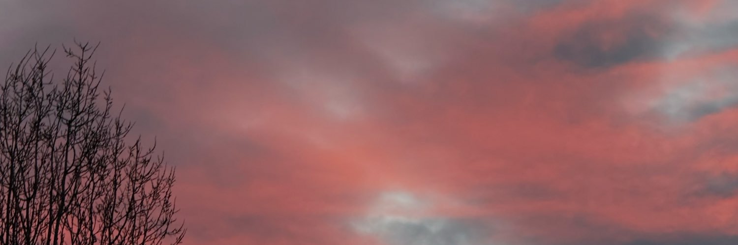 lilyai__'s profile banner image