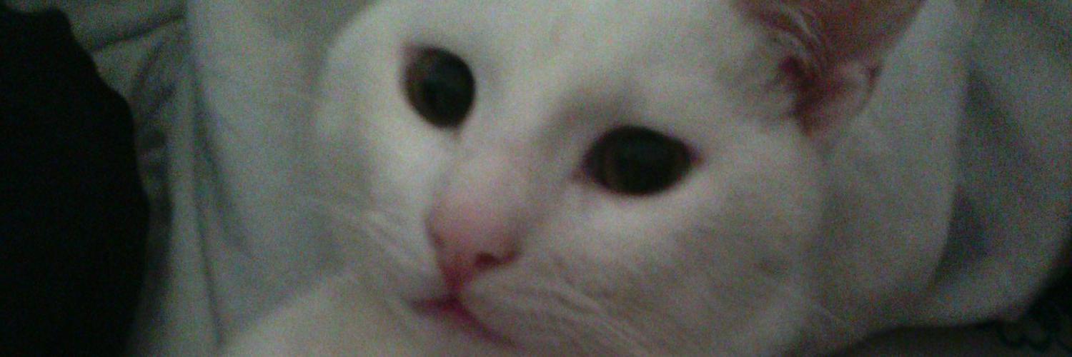 ozlomoz's profile banner image