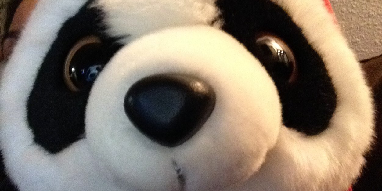stefuhneee's profile banner image