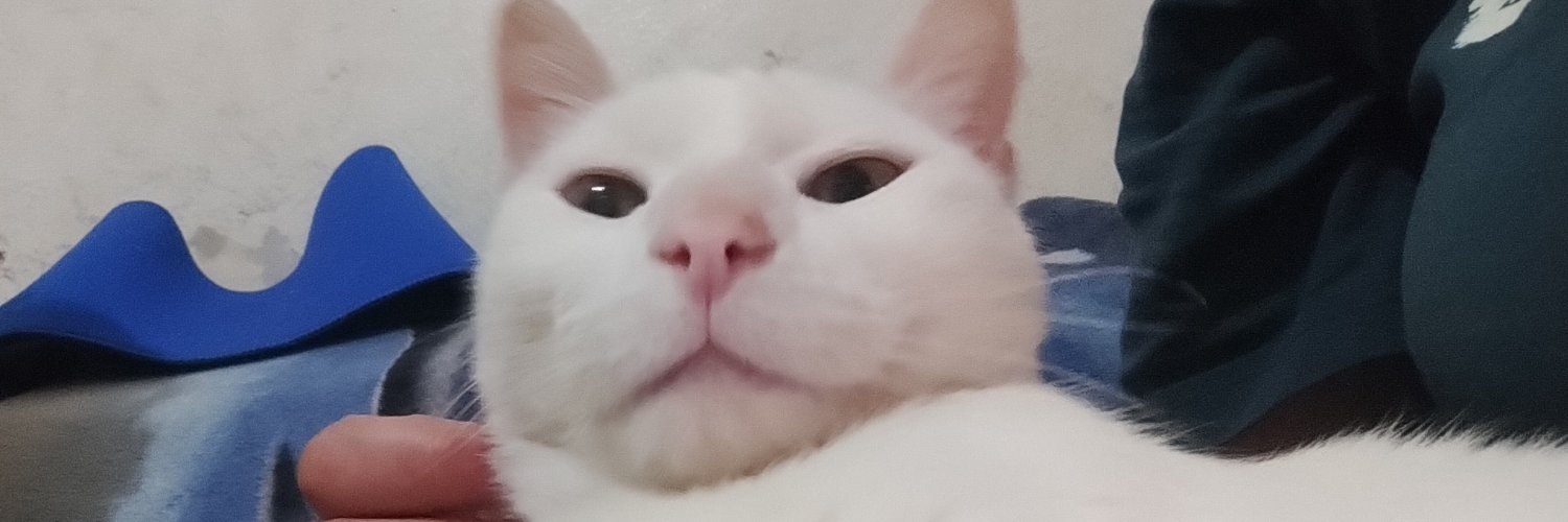 natu_taboada's profile banner image