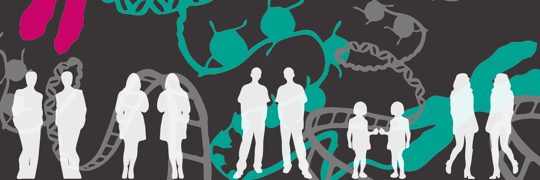 Netherlands Twin Register banner