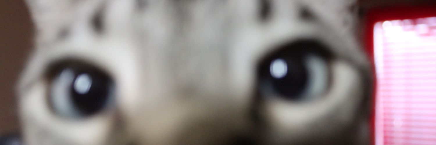 localcucksonly's profile banner image