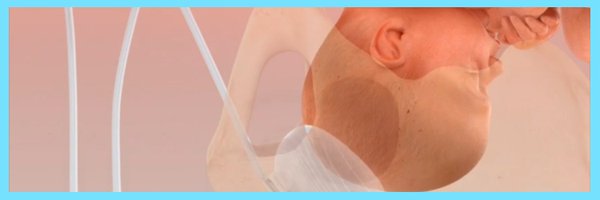 fetal_pillow Profile Banner