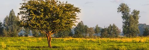 CombatStressFix's profile banner image