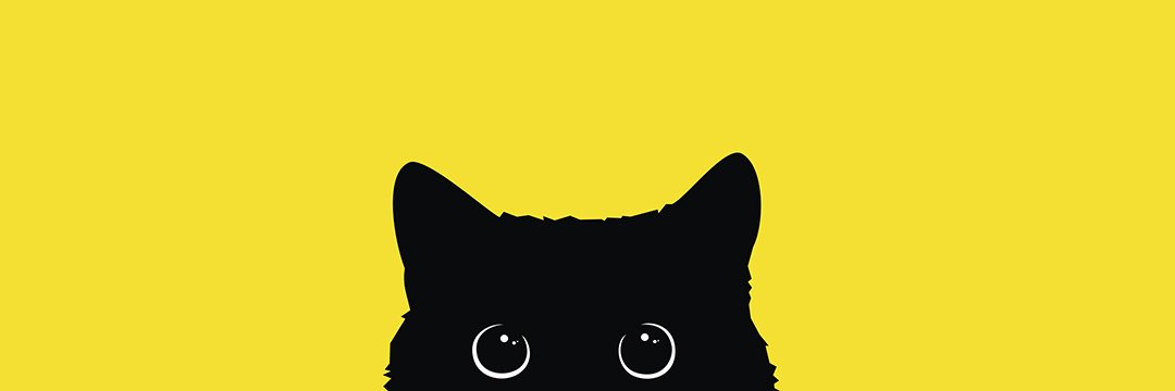 lucazabreu's profile banner image