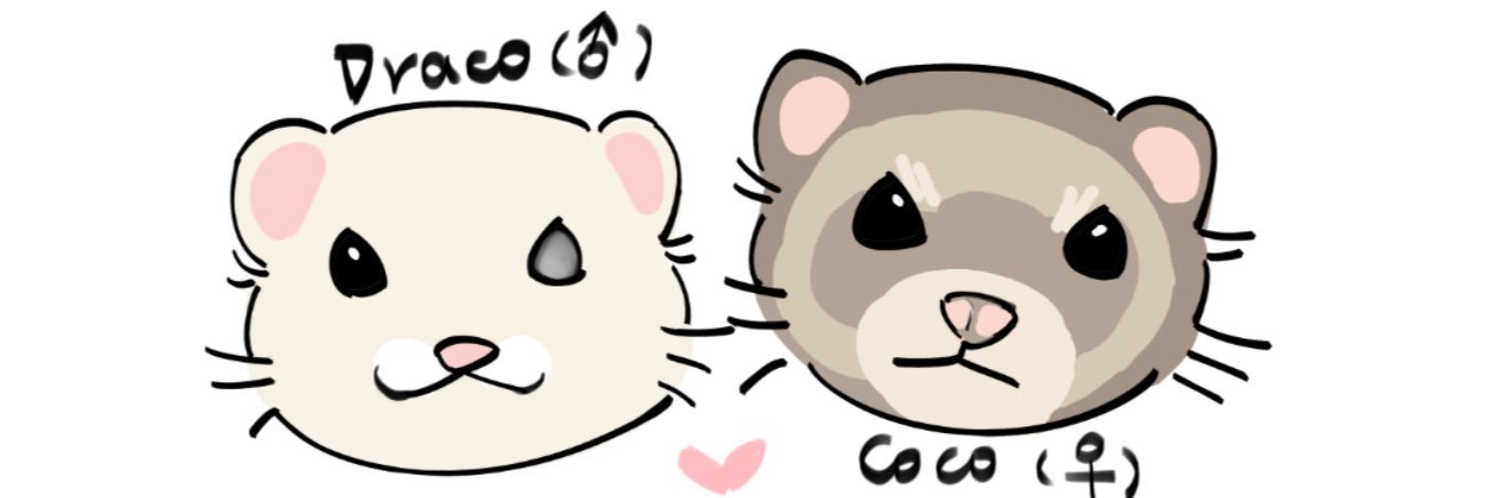Tiko_violin's profile banner image