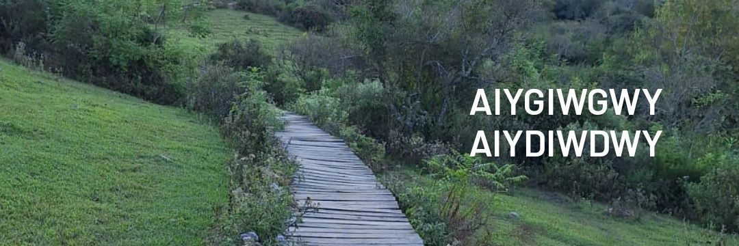 colque_ale's profile banner image