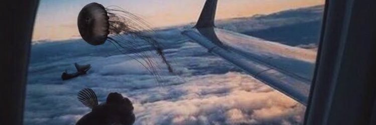 cannnis's profile banner image