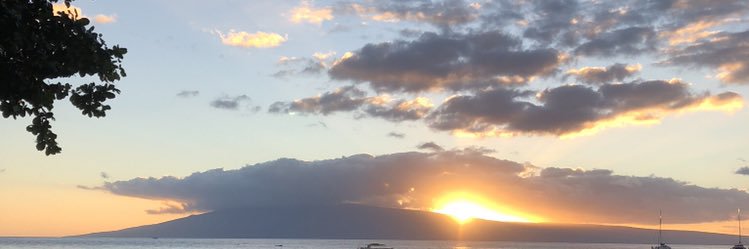 debranicastro's profile banner image
