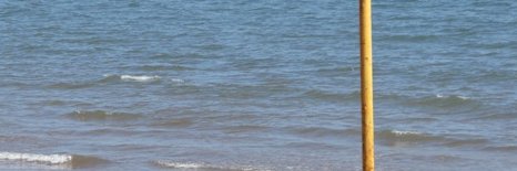 brayley_small's profile banner image
