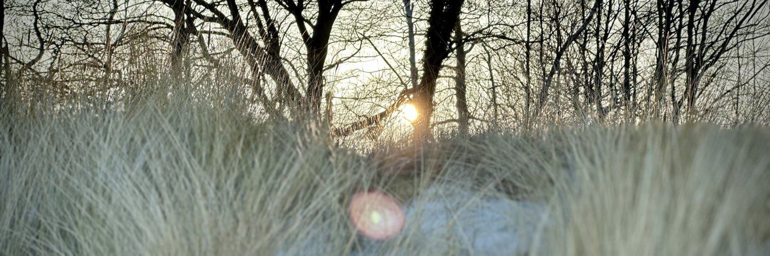 BaeHarrier84's profile banner image