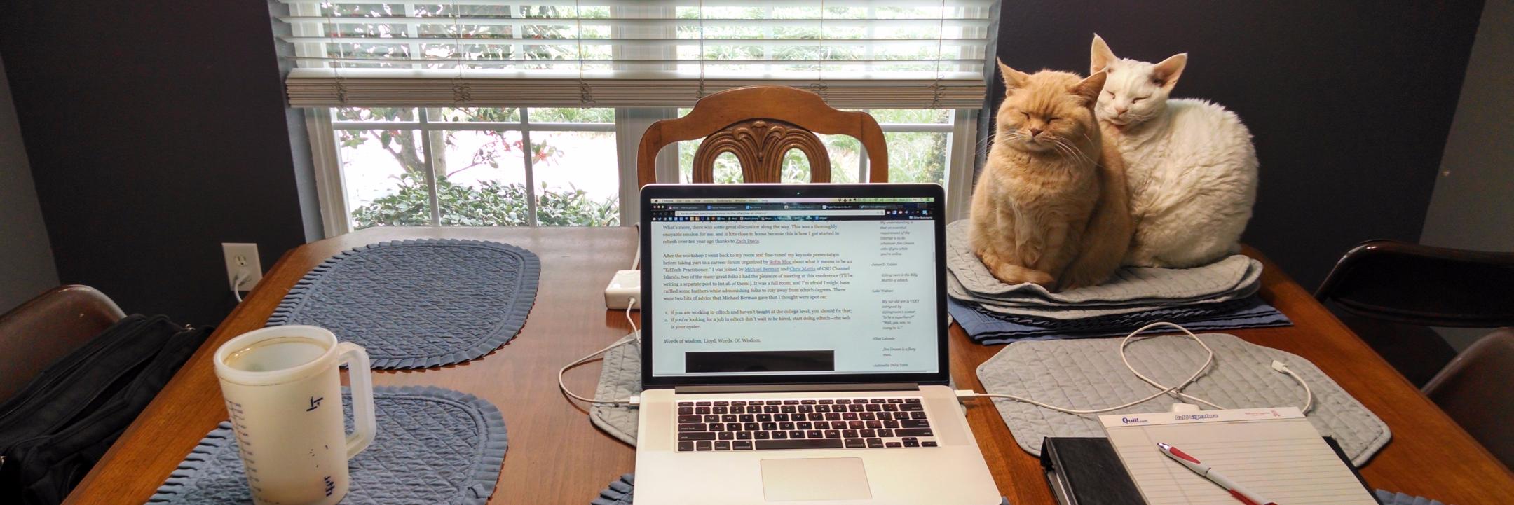 Mo Pelzel (@mopelzel) banner