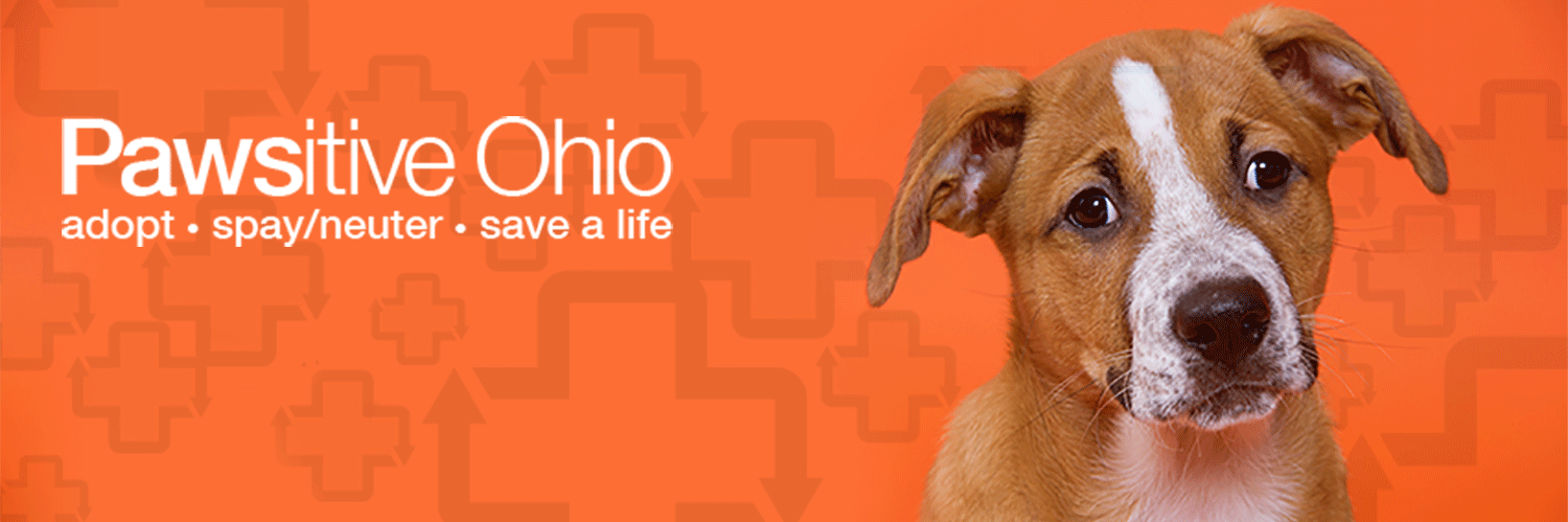 PawsitiveOhio's profile banner image