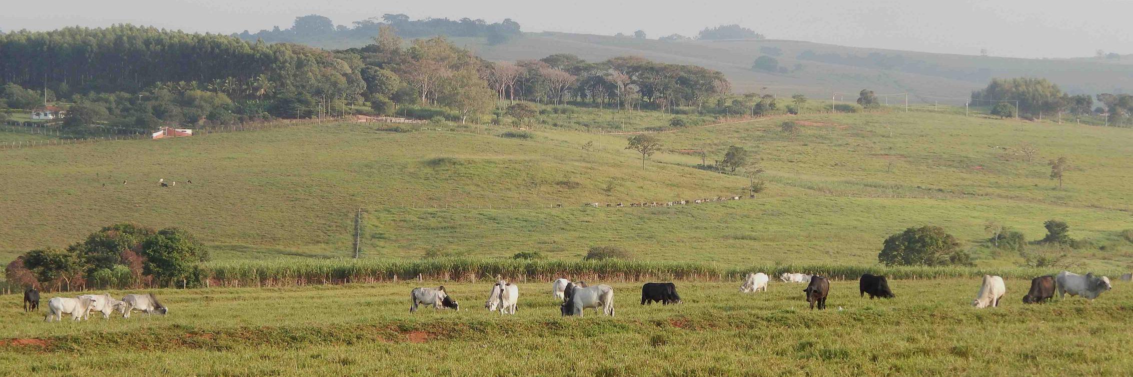 cenarioagro's profile banner image