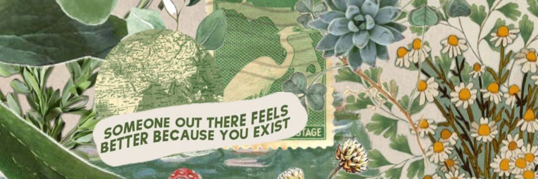ashlynmmcgee's profile banner image