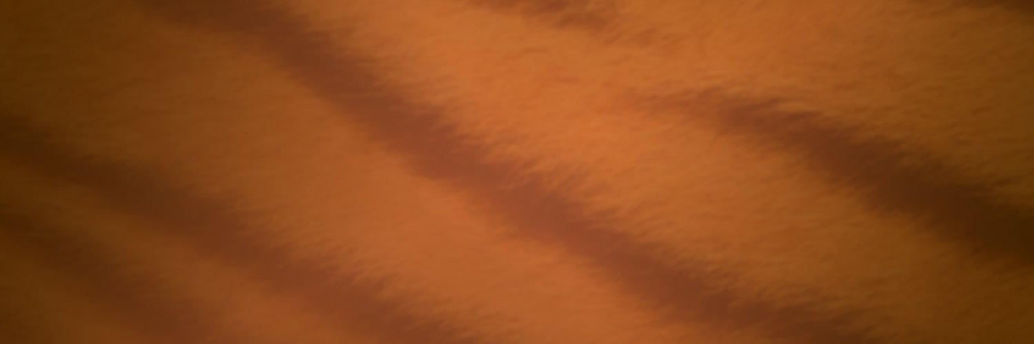 PickledTiger_'s profile banner image
