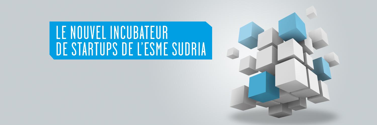 SudriCub's profile banner image