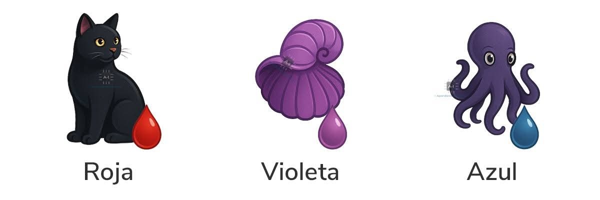 Solrac ErreMe banner