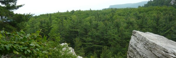 JSussin Profile Banner