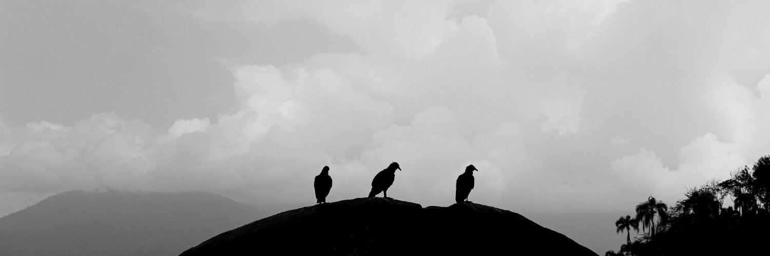 cakelier_'s profile banner image