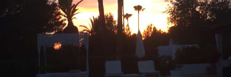 Connie Ruck banner