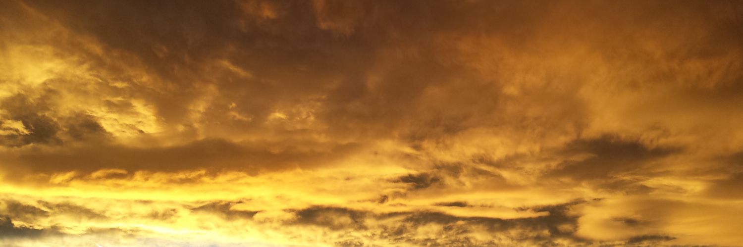 erlin_d's profile banner image