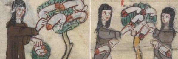 Pyjus X. v brněnském exilu banner