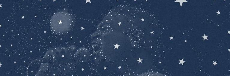 BraveJayBear's profile banner image