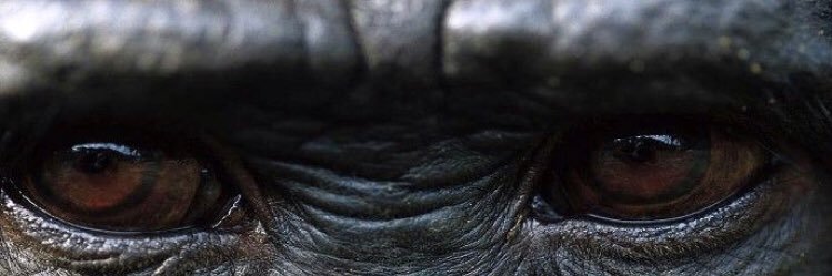 eleivapinto's profile banner image