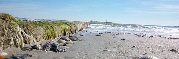 jessica_collins Profile Banner