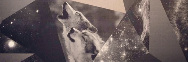 Andrea Murillo banner