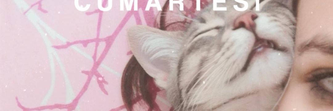 devrimDnz1's profile banner image