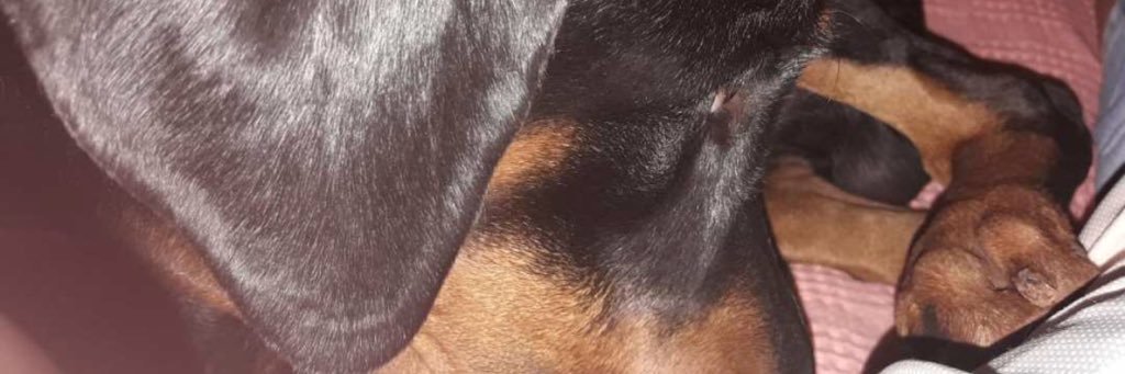 IvannaGonzalezP's profile banner image