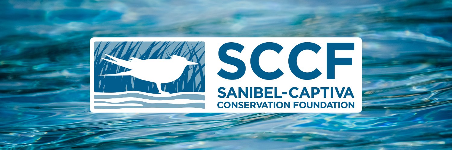SCCF banner