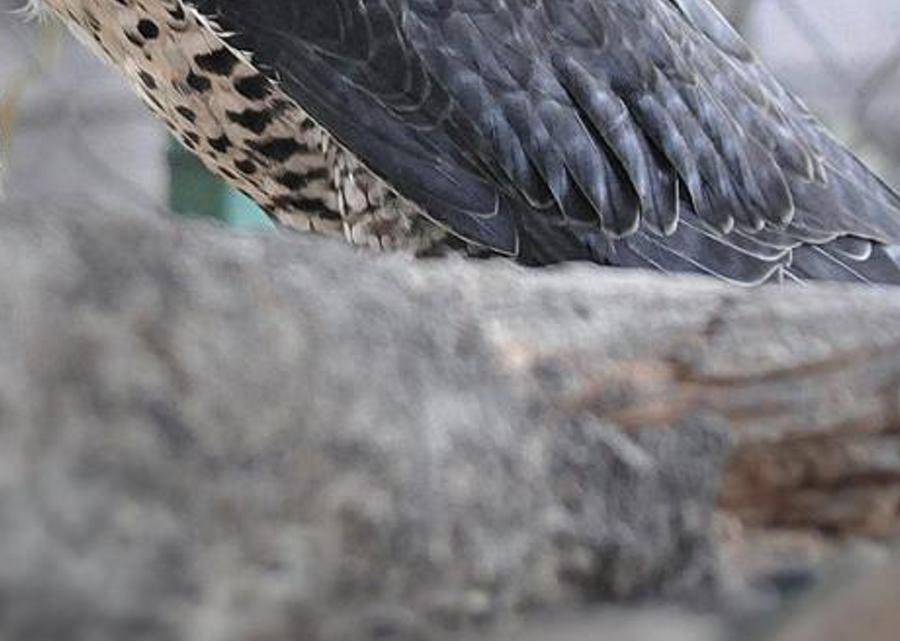 loclunilli's profile banner image