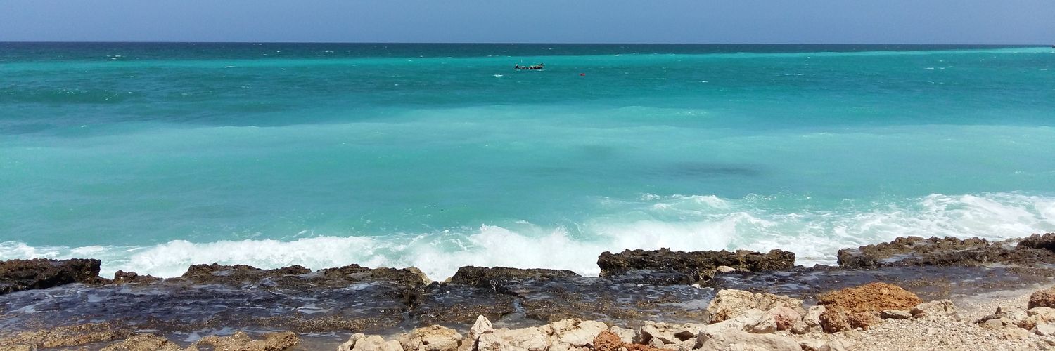 salha_abdoo's profile banner image