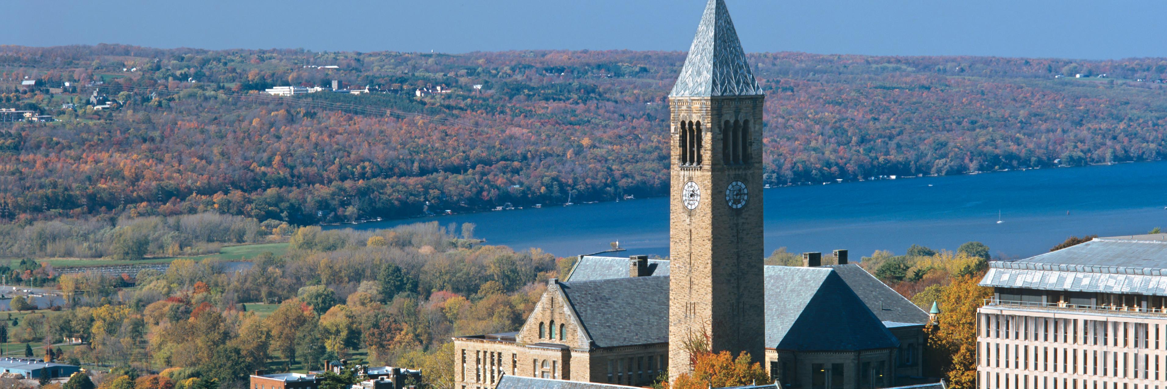 Cornell Democrats banner