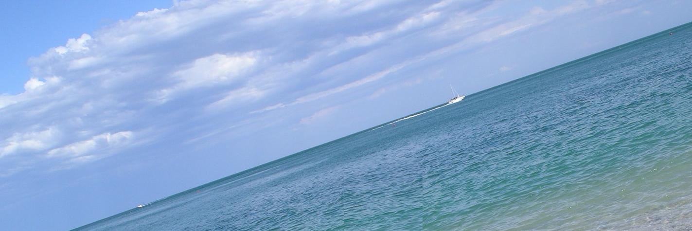 Discover Marche banner