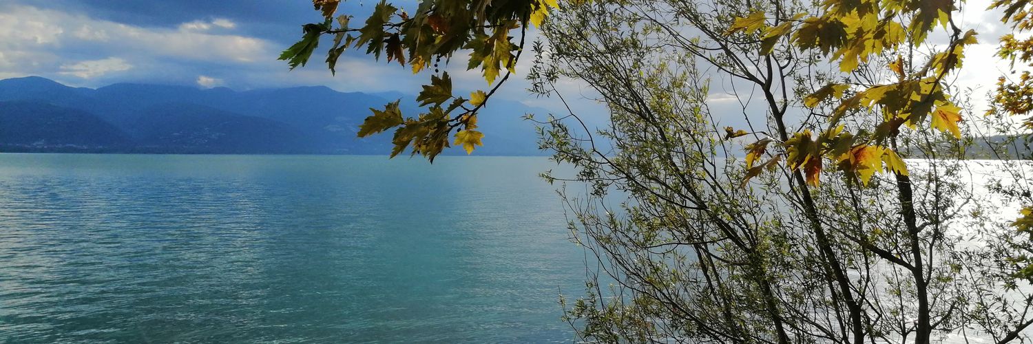 Enesa24's profile banner image