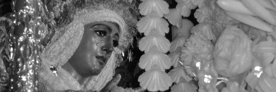 paulowa7's profile banner image