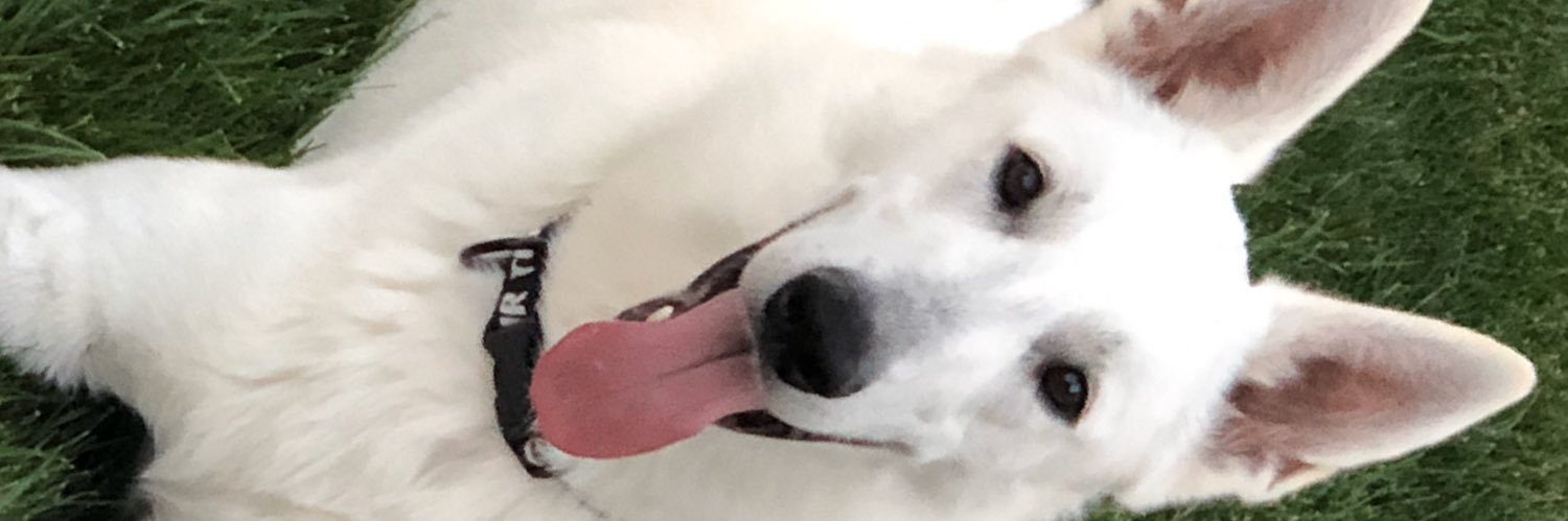 elizahall2's profile banner image