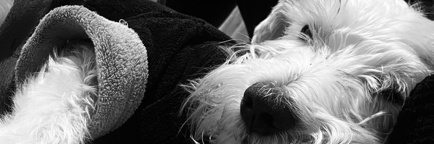 fertinoco1's profile banner image