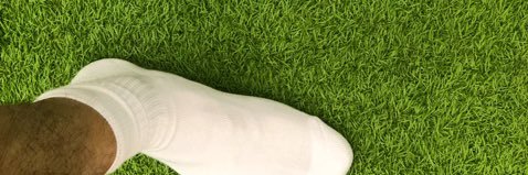 bloomliu1's profile banner image