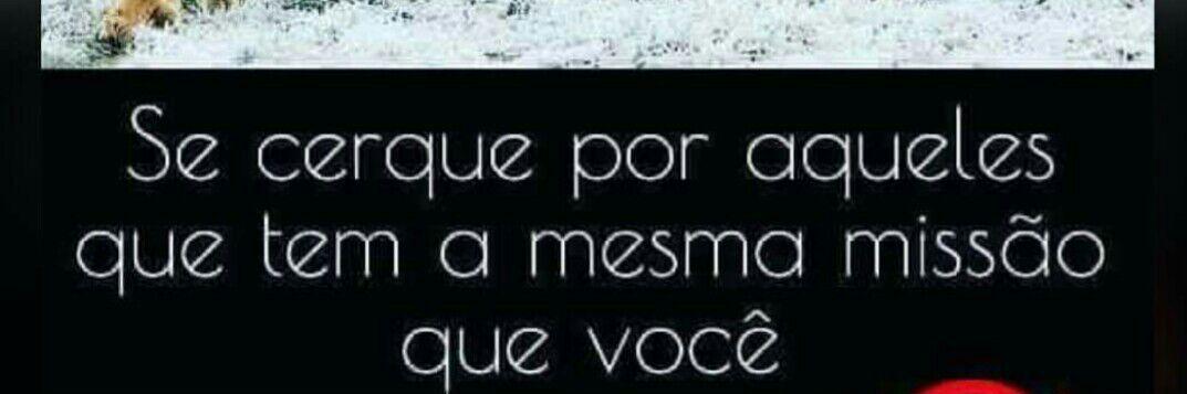 Bruno Talento banner