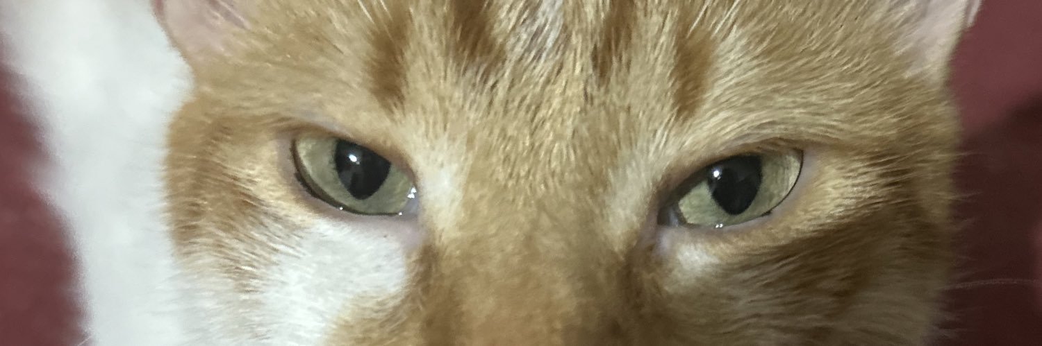 PedersenEmine's profile banner image
