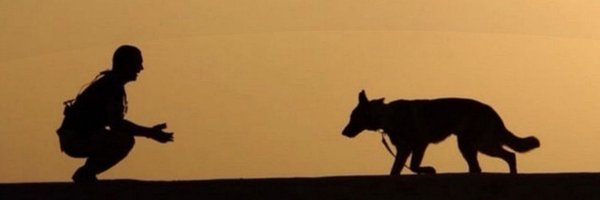 waweru_pius Profile Banner